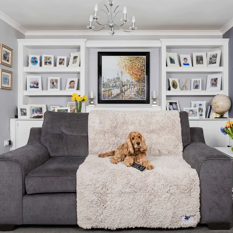 Pet Rebellion Comfy Cover