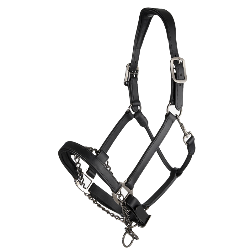 LeMieux Leather Control Headcollar - Black