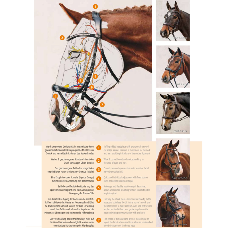 Schockemohle Equitus Delta Anatomical Bridle - Espresso/Silver-1