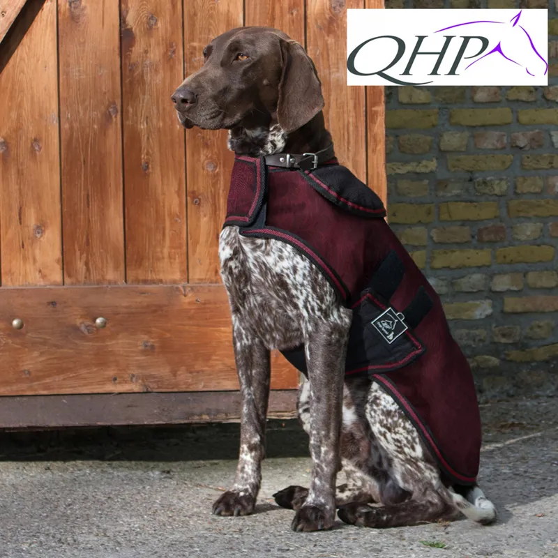 QHP Dog Rug Coat Turnout Collection - Florals-1