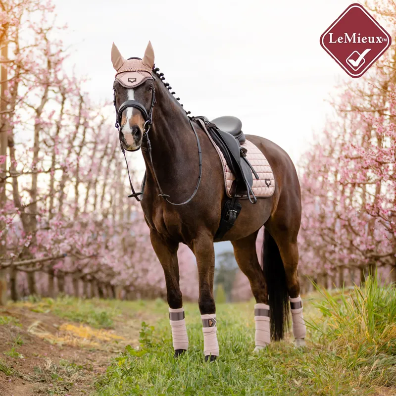 LeMieux Loire Classic Satin Dressage Saddlepad - Rose-1