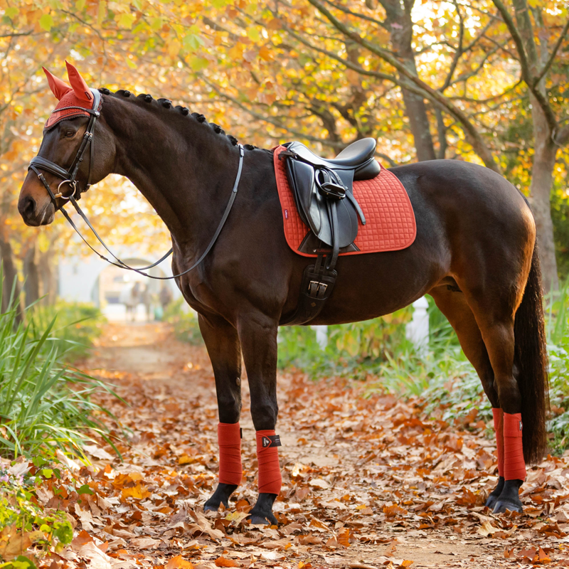 LeMieux Suede Dressage Square - Sienna-2