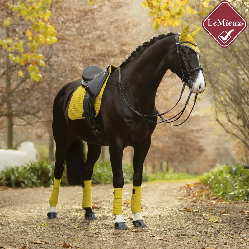 LeMieux Suede Dressage Square - Dijon-1