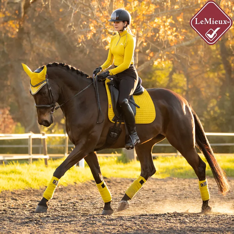 LeMieux Suede Dressage Square - Dijon-2