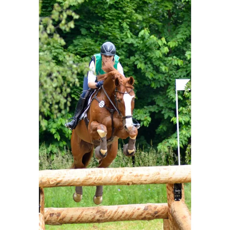 Stubben Leitrim Bridle With Hanovarian Noseband 