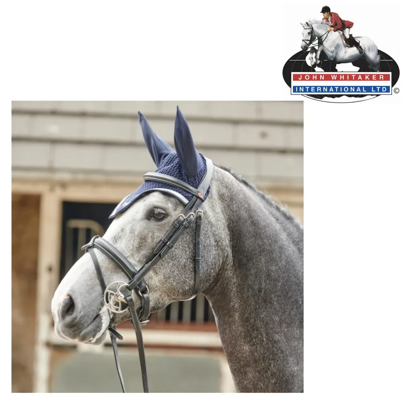 John Whitaker Eastwood Crank Bridle With Comfort Headpiece Detachable Flash and Reins - Black 