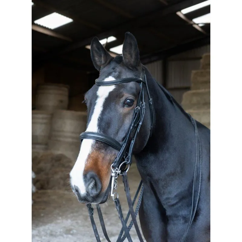 EcoRider Freedom Double Bridle - Black