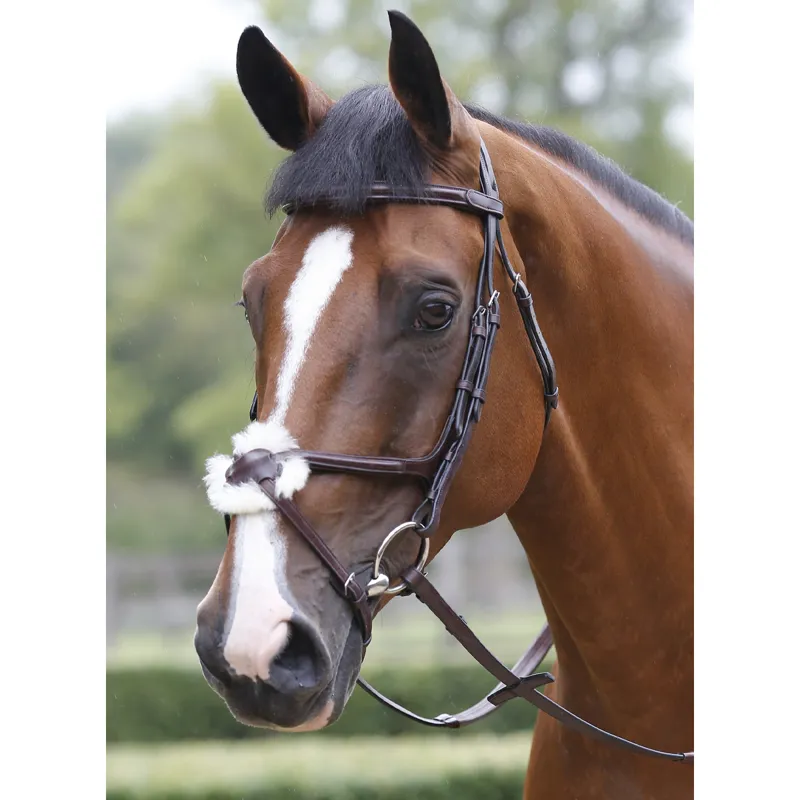 Mark Todd Performance Figure of 8 Bridle - Havana