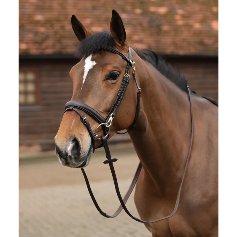 Mark Todd Training Bridle Full - Havana
