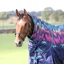 Shires Highlander Original 200 Turnout Neck Cover - Navy Forest