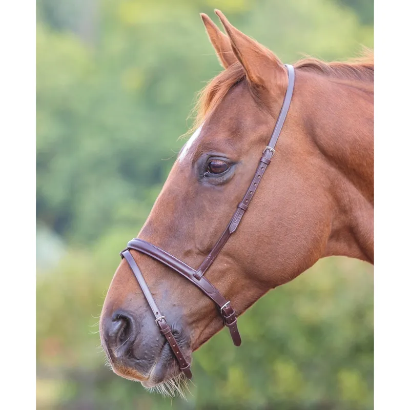 Shires Velociti GARA Flash Noseband - Havana