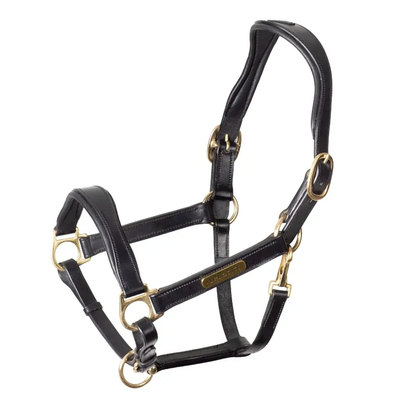 Shires Velociti Rapida Cushioned Leather Headcollar - Black