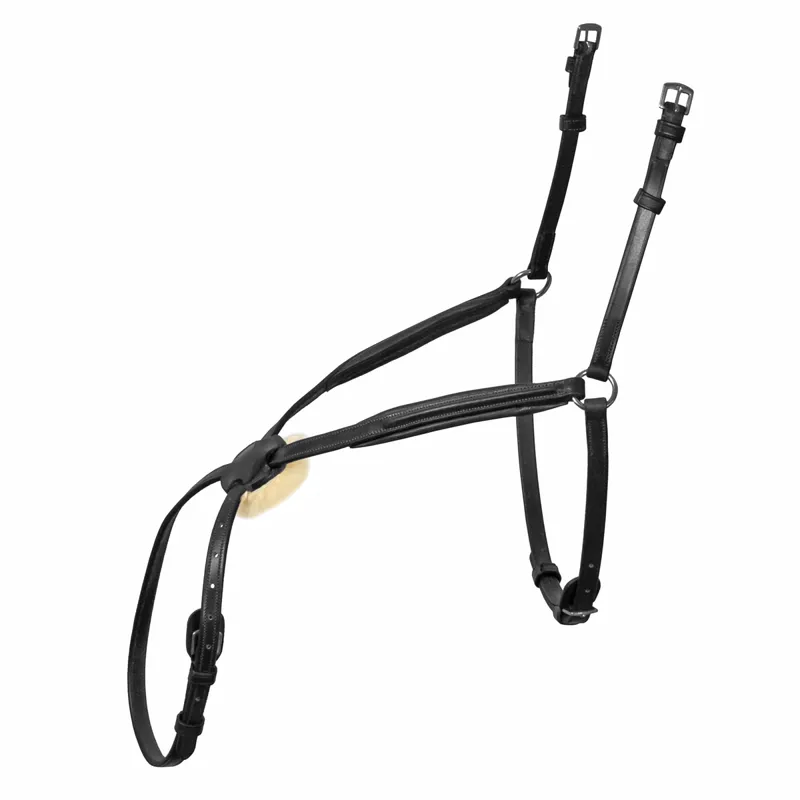 Mark Todd Mexican Grackle Noseband - Black