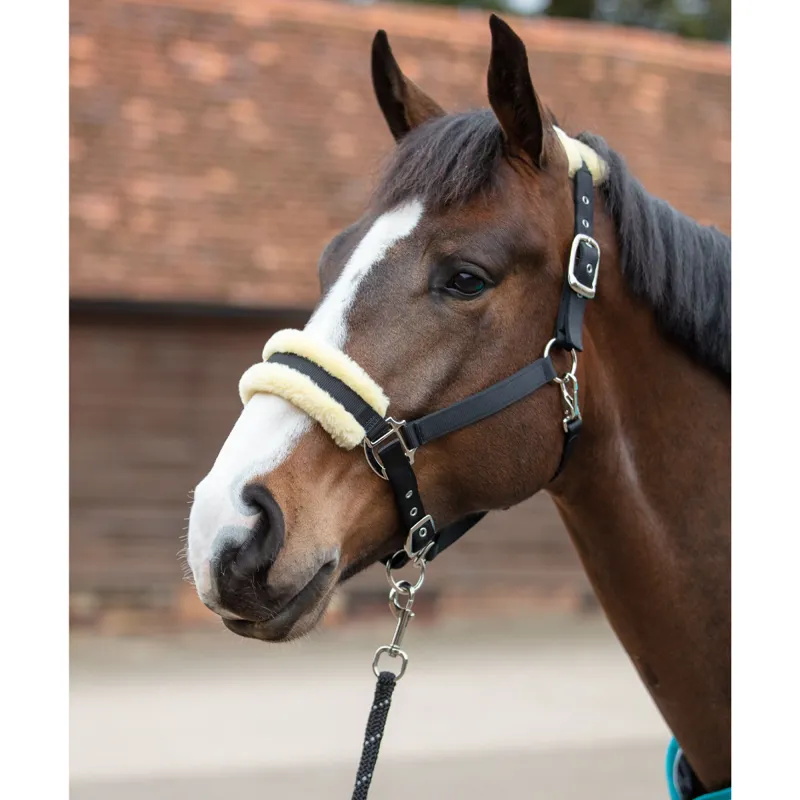 Mark Todd Fleece Lined Headcollar and Leadrope - Black/Natural
