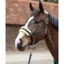Mark Todd Fleece Lined Headcollar and Leadrope - Black/Natural