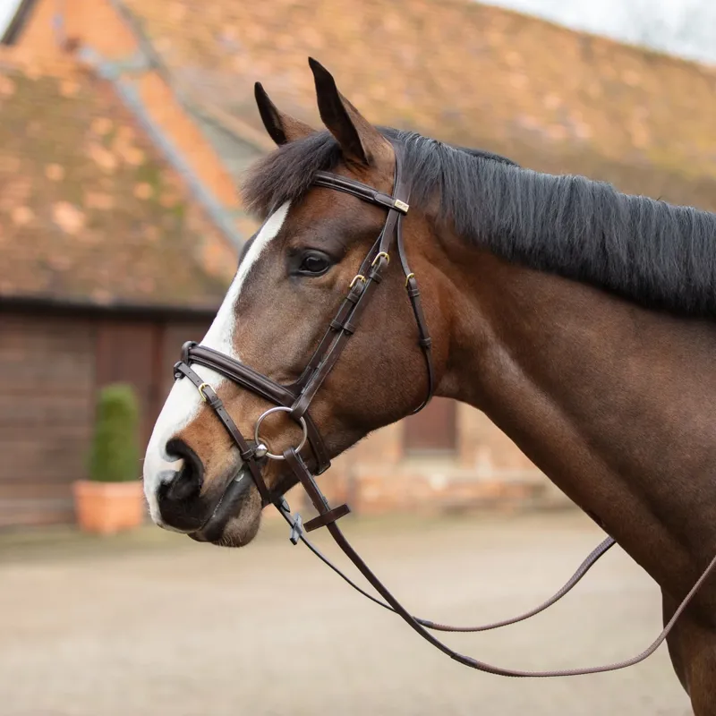 Mark Todd Performance Flash Bridle - Havana/Brass
