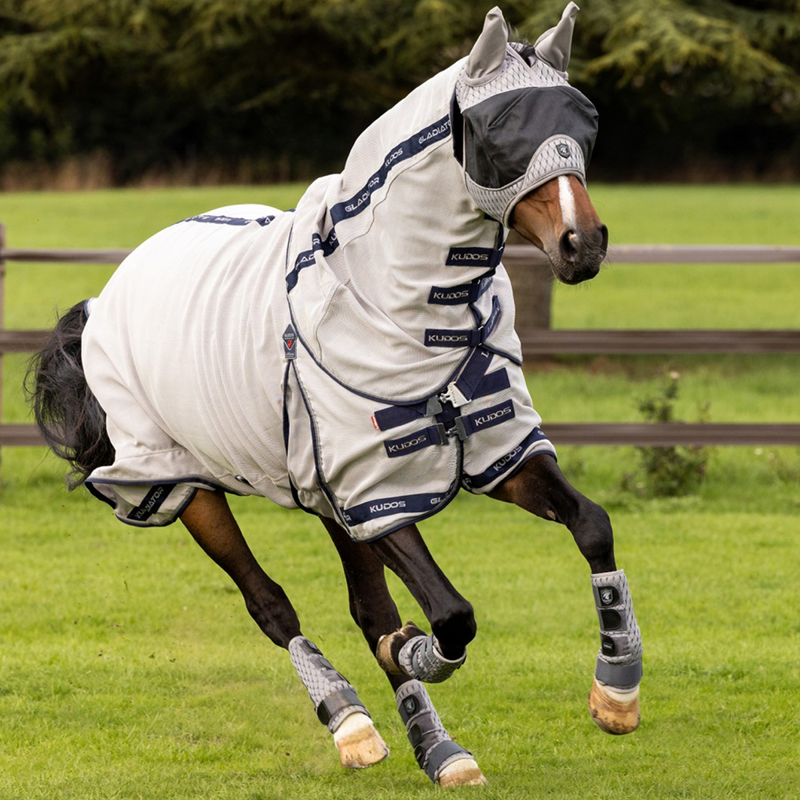LeMieux Kudos Gladiator Fly Rug - Silver-1