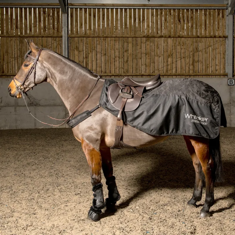 John Whitaker Exercise Sheet - Black Camo