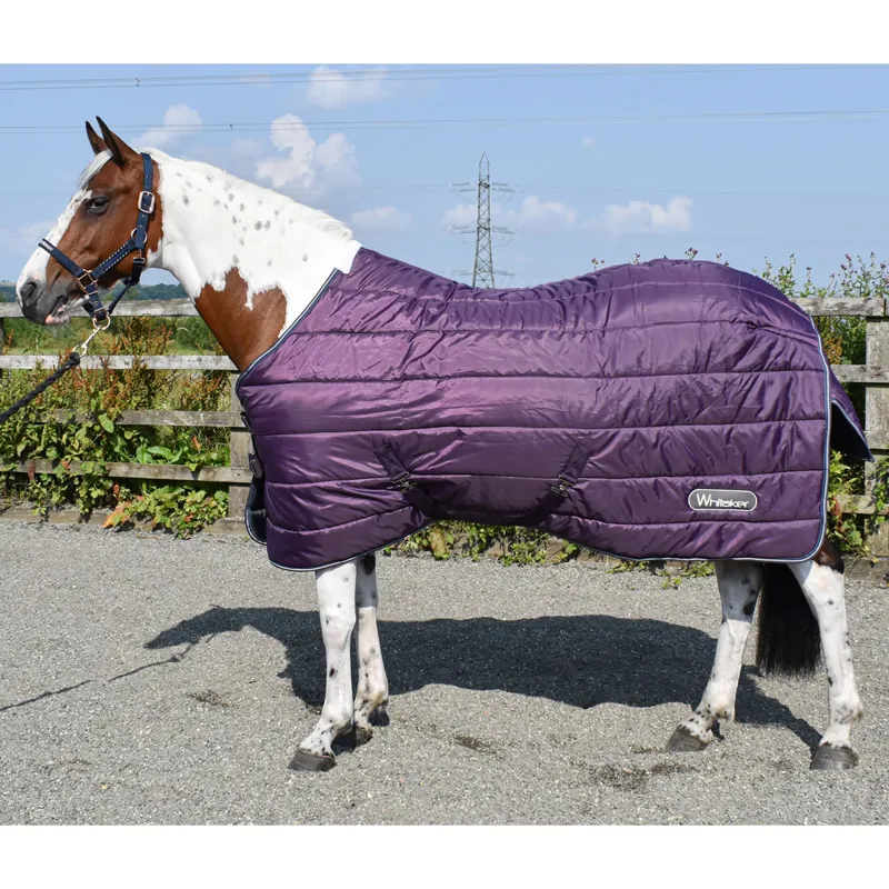John Whitaker Thistle Stable Rug 200g - Plum
