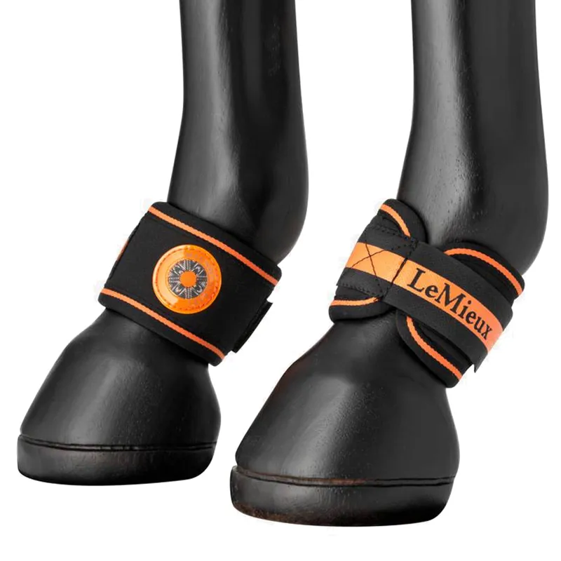 LeMieux Magno Pastern Wrap - Black