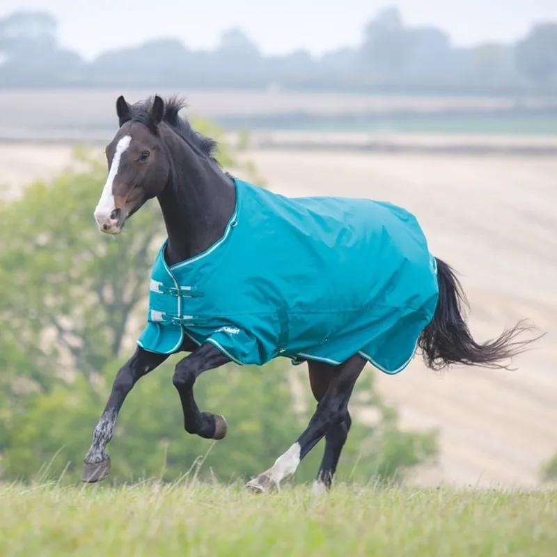 Shires Tempest Plus 200g Turnout Rug - Teal