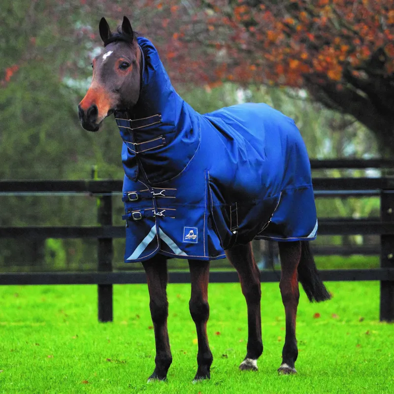 Mackey Wicklow Heavyweight Turnout Rug - Navy/Gold