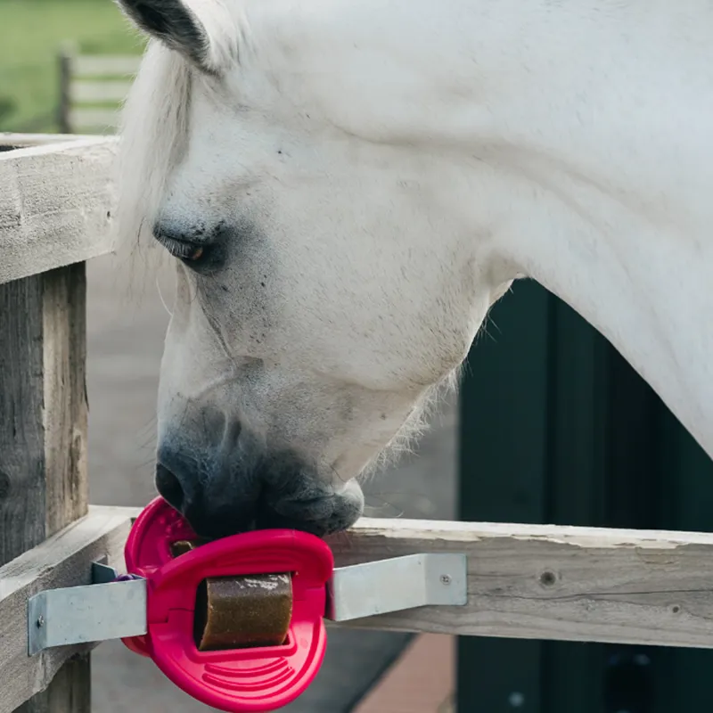 Bizzy Bites Ball Corner Mounting Bracket-3