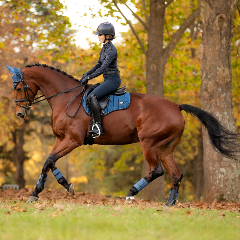 LeMieux Loire Classic GP Square - Atlantic-3