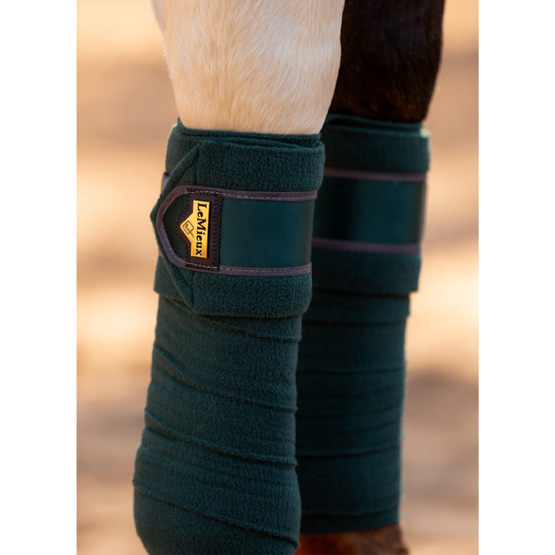 LeMieux Loire Polo Bandages - Spruce-2