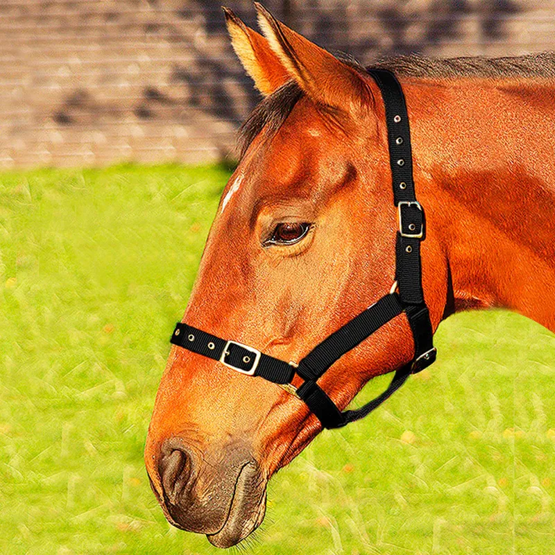JHL Orion Headcollar - Black