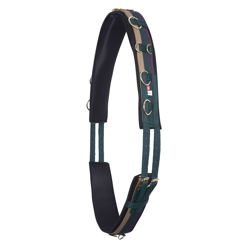 Imperial Riding Deluxe Extra Lunging Girth - Forest Green