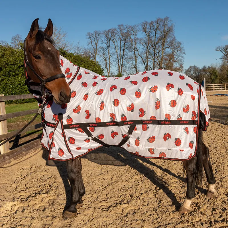 John Whitaker Ladybird Fly Rug - White