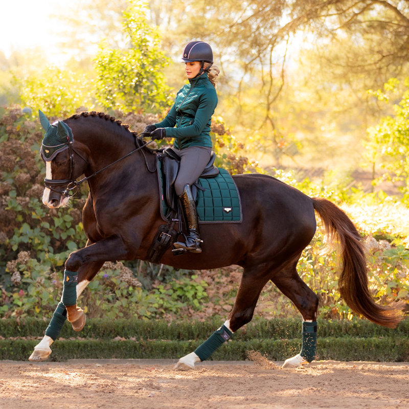 LeMieux Loire Classic Dressage Square - Spruce-2