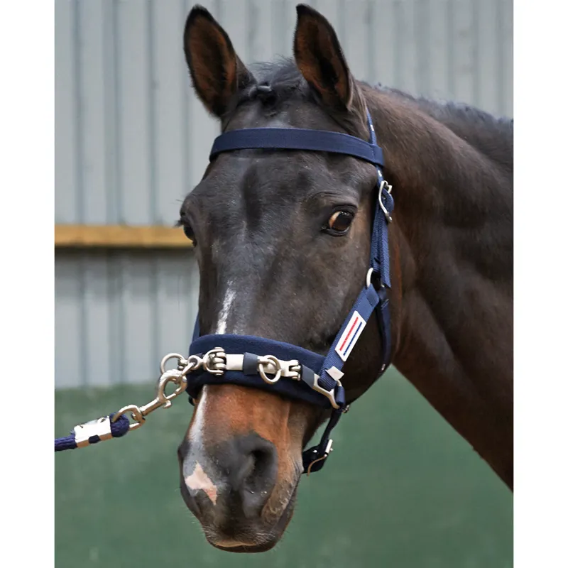 John Whitaker Lunge Cavesson - Navy