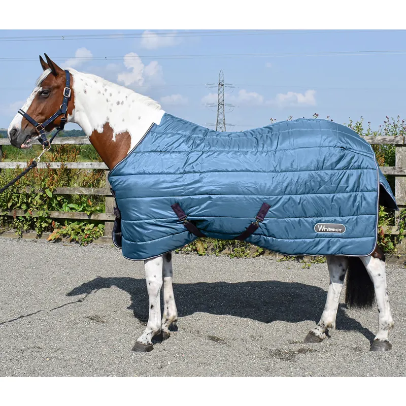 John Whitaker Lupin Stable Rug 200g - Teal