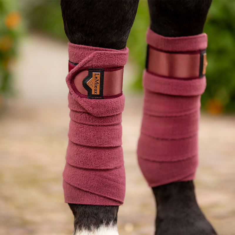 LeMieux Loire Polo Bandages - Orchid-1