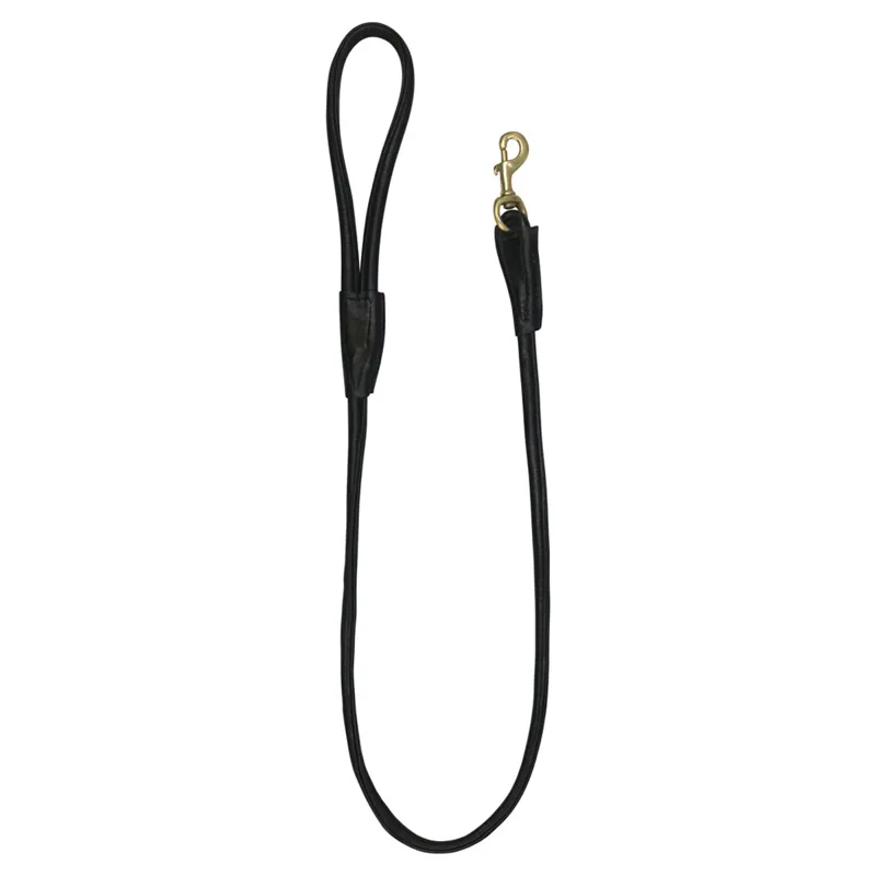 Benji And Flo Superior Rolled Leather Dog Lead - Black/Brass - 120cm