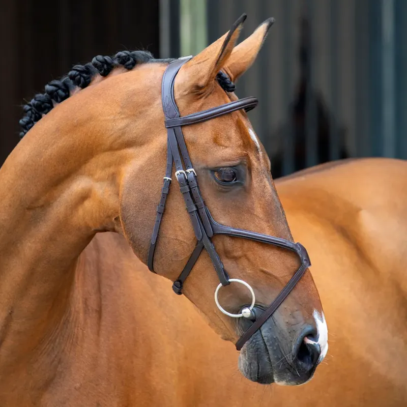 Shires Velociti Lusso Grackle Bridle - Havana