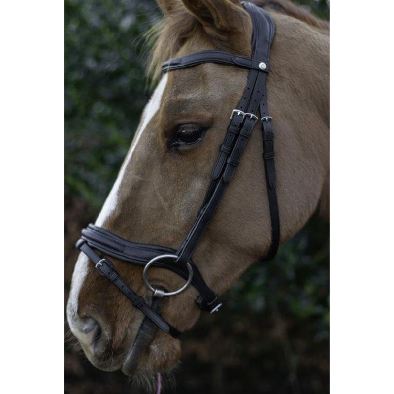 Ecorider Ultra Comfort Kilkenny Bridle - Black-4