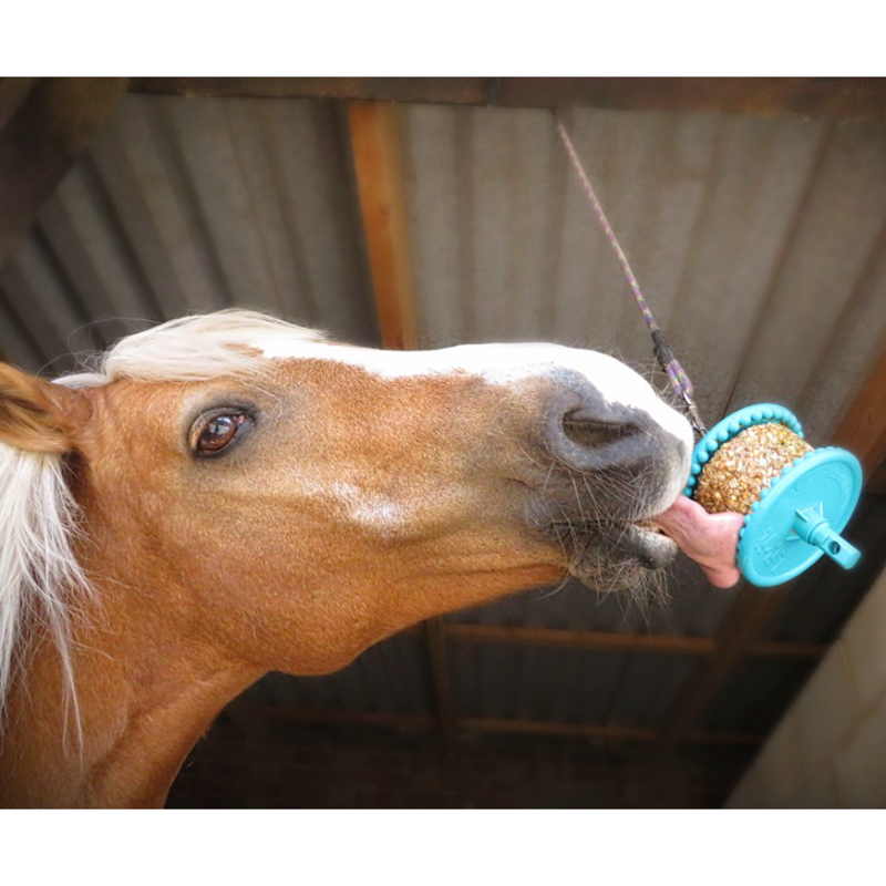 Likit Granola - 8 Pack-3