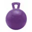 Horsemen's Pride Jolly Ball - Purple