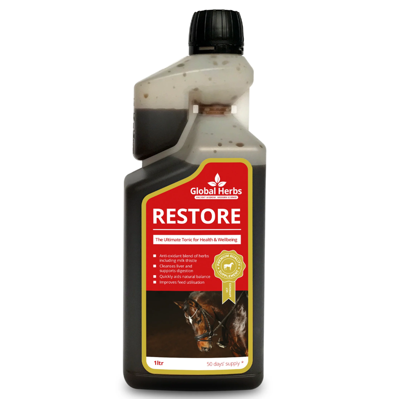 Global Herbs Restore Liquid-1