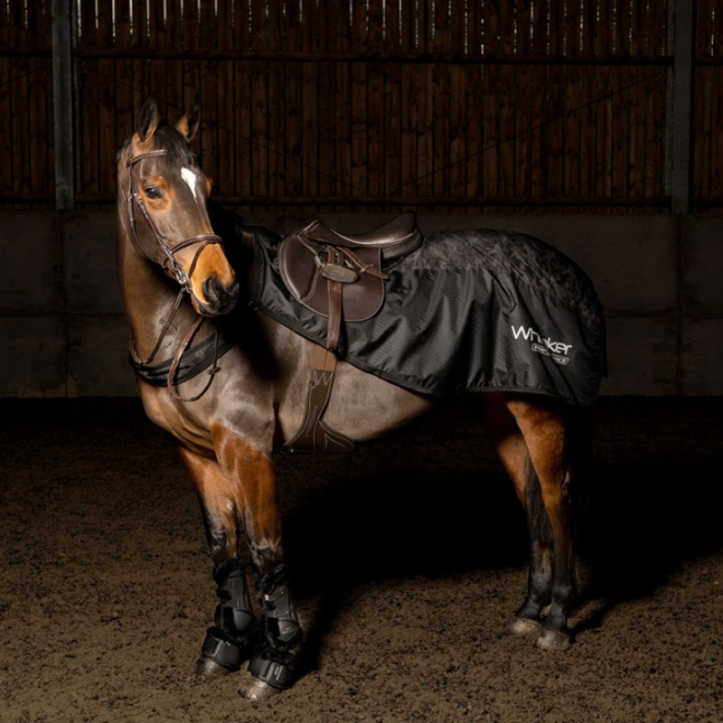 John Whitaker Exercise Sheet - Black Camo-1