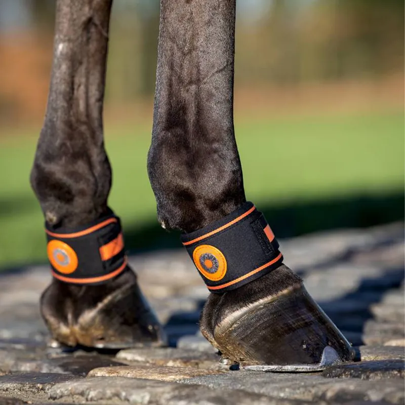 LeMieux Magno Pastern Wrap - Black-1