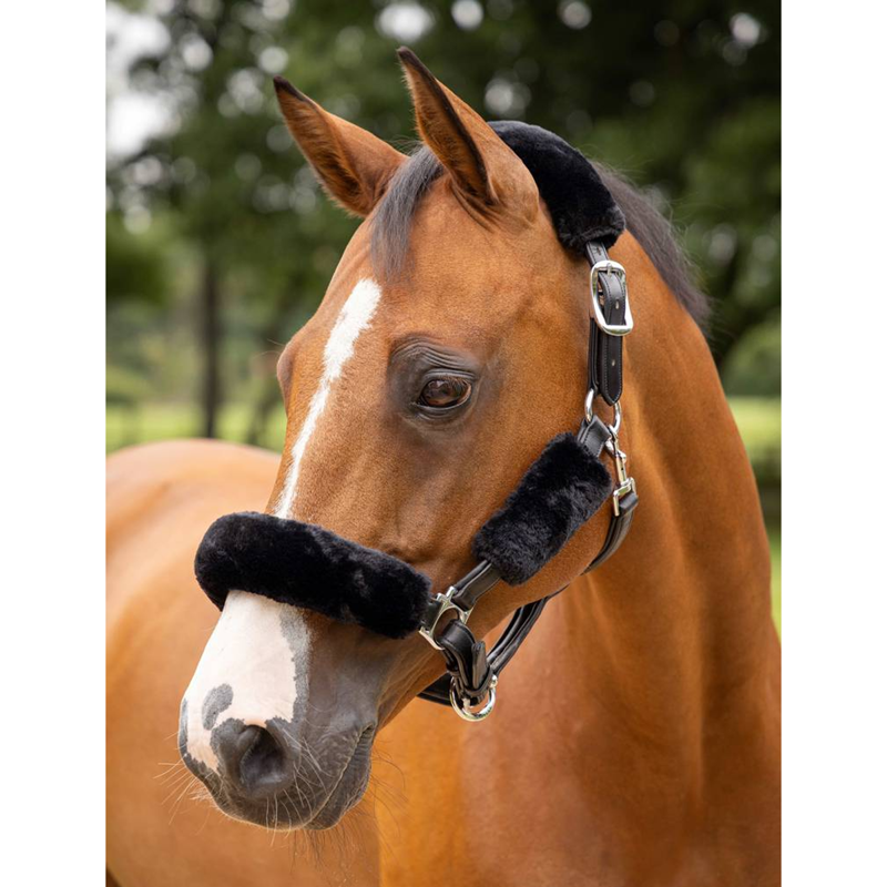 LeMieux Simuwool Headcollar Set - Black-1