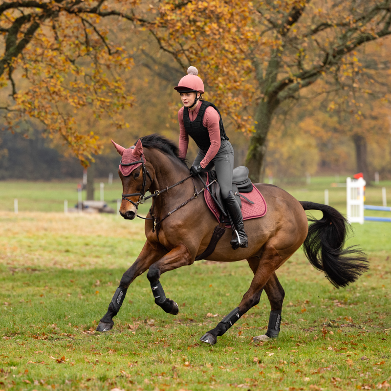 LeMieux Suede Close Contact Square - Orchid-2
