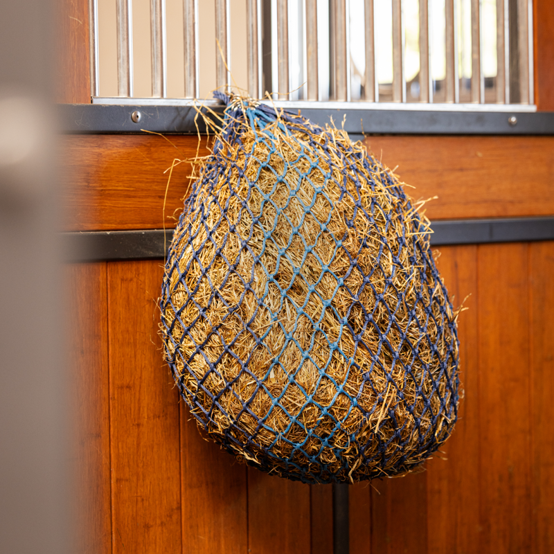 LeMieux Hippo Haynet - Atlantic-1