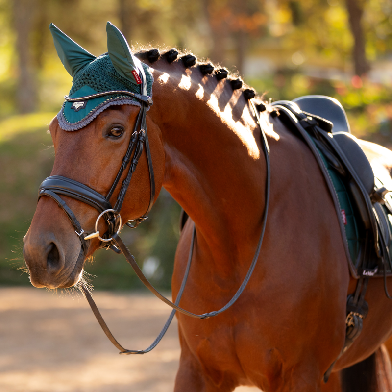 LeMieux Loire Fly Hood - Spruce-1