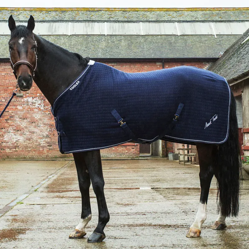 Mark Todd Coolex Cooler Rug - Navy/Silver