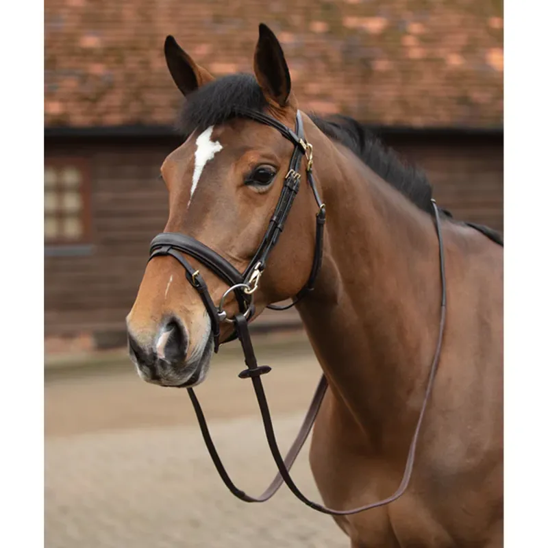 Mark Todd Training Bridle Full - Black 